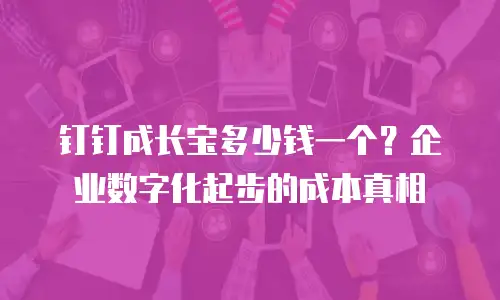 钉钉成长宝多少钱一个？企业数字化起步的成本真相
