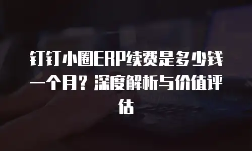 钉钉小圈ERP续费是多少钱一个月？深度解析与价值评估