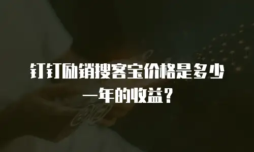 钉钉励销搜客宝价格是多少一年的收益？