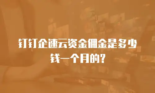 钉钉企速云资金佣金是多少钱一个月的？