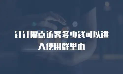 钉钉魔点访客多少钱可以进入使用群里面
