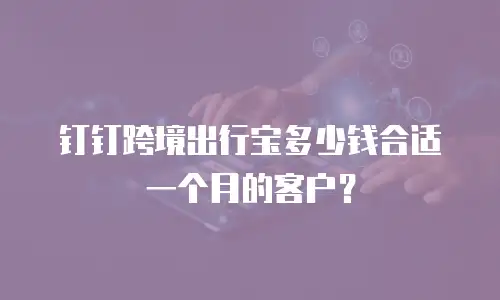 钉钉跨境出行宝多少钱合适一个月的客户？