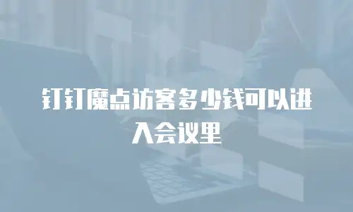 钉钉魔点访客多少钱可以进入会议里