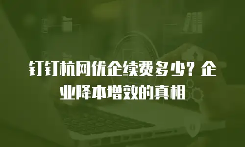 钉钉杭网优企续费多少？企业降本增效的真相