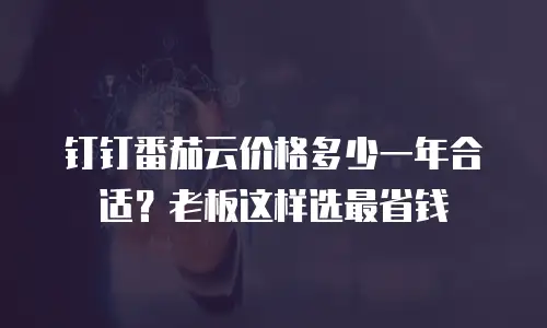 钉钉番茄云价格多少一年合适？老板这样选最省钱