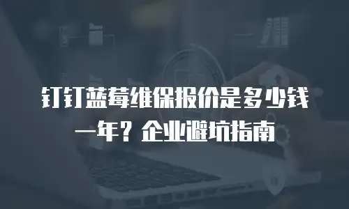 钉钉蓝莓维保报价是多少钱一年？企业避坑指南