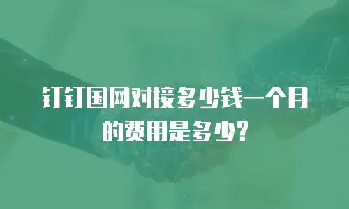 钉钉国网对接多少钱一个月的费用是多少？