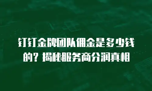 钉钉金牌团队佣金是多少钱的？揭秘服务商分润真相