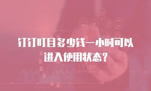 钉钉盯目多少钱一小时可以进入使用状态？