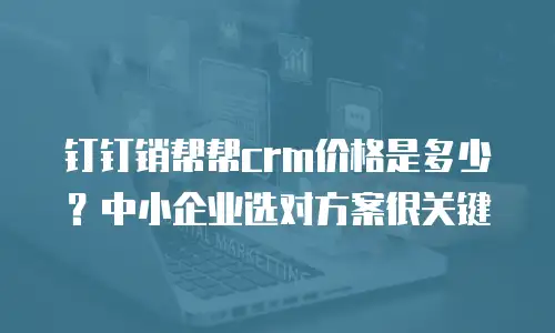 钉钉销帮帮crm价格是多少？中小企业选对方案很关键