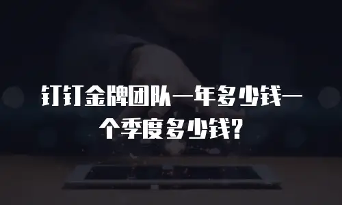 钉钉金牌团队一年多少钱一个季度多少钱？