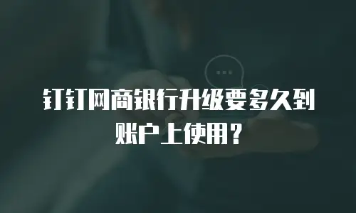 钉钉网商银行升级要多久到账户上使用？