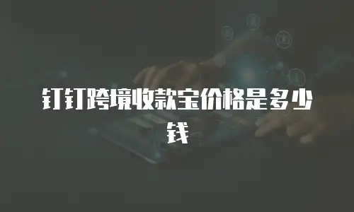 钉钉跨境收款宝价格是多少钱