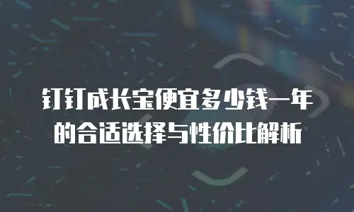 钉钉成长宝便宜多少钱一年的合适选择与性价比解析