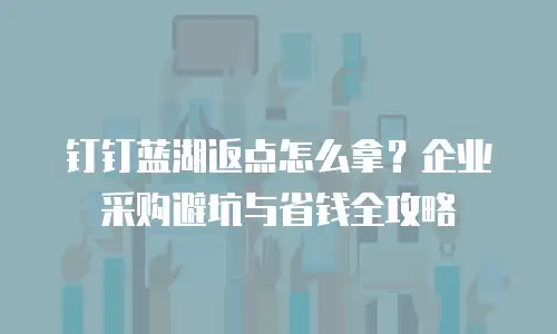 钉钉蓝湖返点怎么拿？企业采购避坑与省钱全攻略