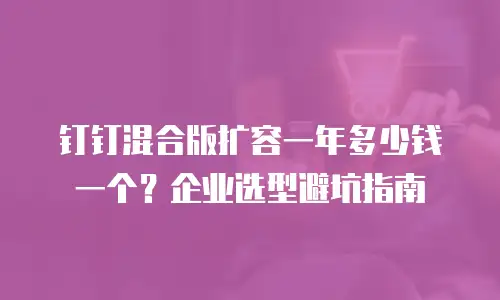 钉钉混合版扩容一年多少钱一个？企业选型避坑指南
