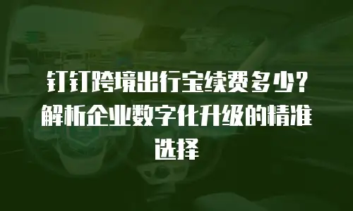 钉钉跨境出行宝续费多少？解析企业数字化升级的精准选择