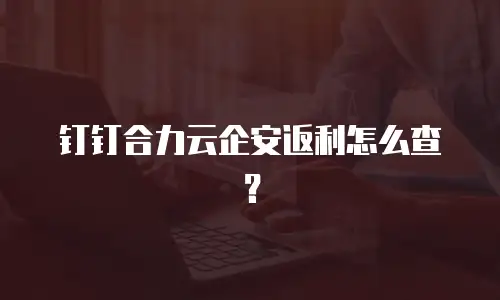钉钉合力云企安返利怎么查？