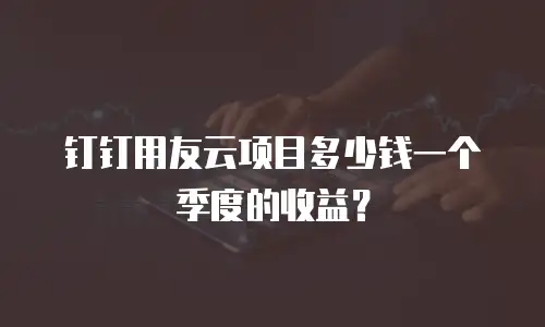 钉钉用友云项目多少钱一个季度的收益？