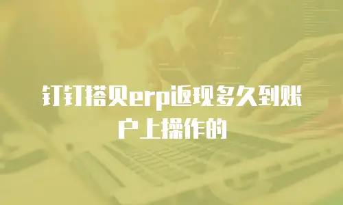 钉钉搭贝erp返现多久到账户上操作的