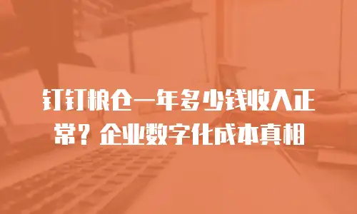 钉钉粮仓一年多少钱收入正常？企业数字化成本真相