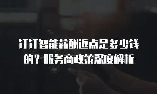 钉钉智能薪酬返点是多少钱的？服务商政策深度解析