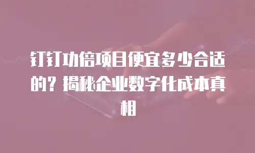 钉钉功倍项目便宜多少合适的？揭秘企业数字化成本真相