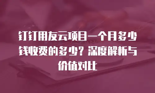 钉钉用友云项目一个月多少钱收费的多少？深度解析与价值对比