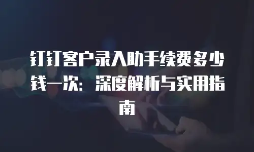 钉钉客户录入助手续费多少钱一次：深度解析与实用指南
