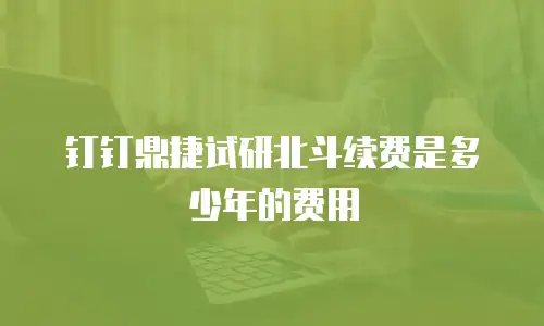 钉钉鼎捷试研北斗续费是多少年的费用