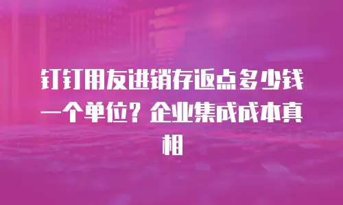 钉钉用友进销存返点多少钱一个单位？企业集成成本真相