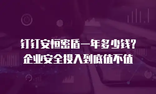 钉钉安恒密盾一年多少钱？企业安全投入到底值不值