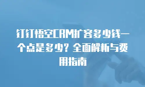 钉钉悟空CRM扩容多少钱一个点是多少？全面解析与费用指南