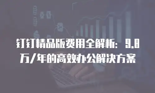 钉钉精品版费用全解析：9.8万/年的高效办公解决方案