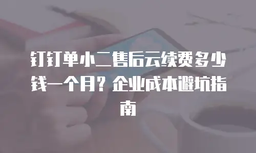 钉钉单小二售后云续费多少钱一个月？企业成本避坑指南