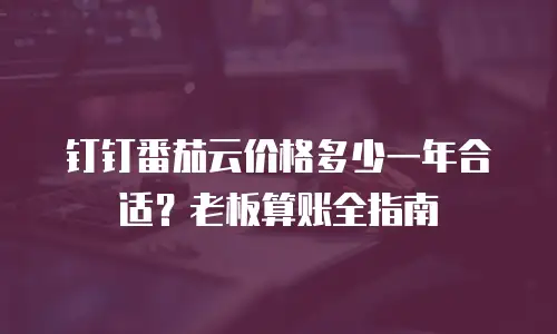 钉钉番茄云价格多少一年合适？老板算账全指南