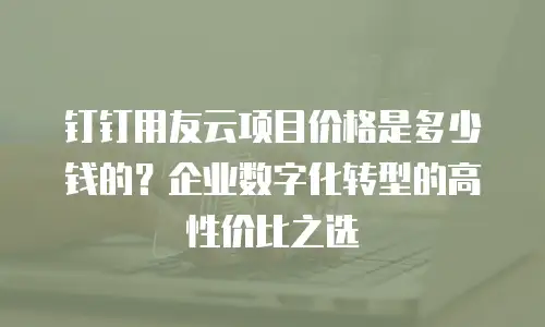 钉钉用友云项目价格是多少钱的？企业数字化转型的高性价比之选