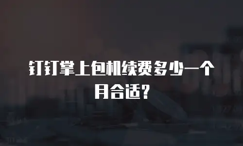 钉钉掌上包机续费多少一个月合适？