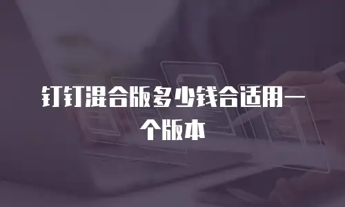 钉钉混合版多少钱合适用一个版本
