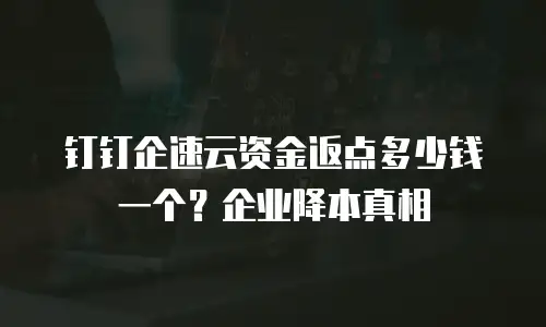 钉钉企速云资金返点多少钱一个？企业降本真相