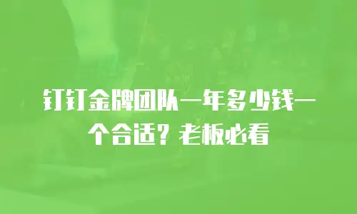 钉钉金牌团队一年多少钱一个合适？老板必看