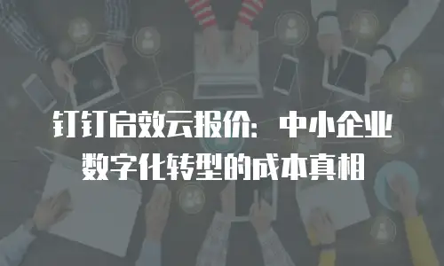 钉钉启效云报价：中小企业数字化转型的成本真相