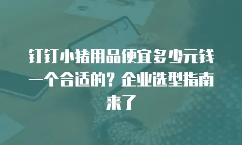 钉钉小猪用品便宜多少元钱一个合适的？企业选型指南来了