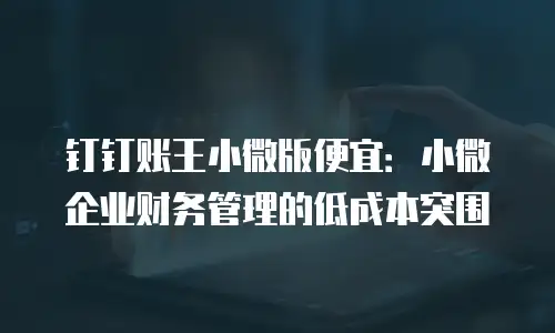 钉钉账王小微版便宜：小微企业财务管理的低成本突围
