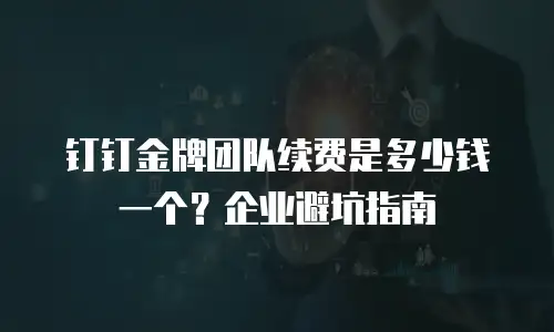 钉钉金牌团队续费是多少钱一个？企业避坑指南