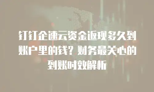 钉钉企速云资金返现多久到账户里的钱？财务最关心的到账时效解析