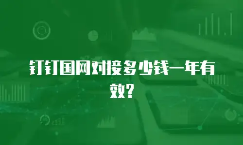钉钉国网对接多少钱一年有效？