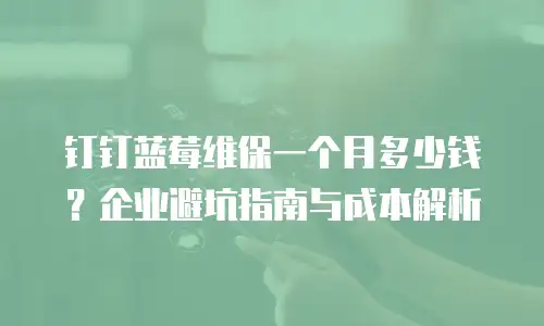 钉钉蓝莓维保一个月多少钱？企业避坑指南与成本解析