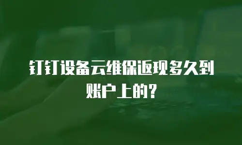 钉钉设备云维保返现多久到账户上的？