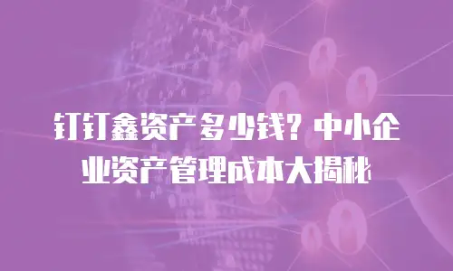 钉钉鑫资产多少钱？中小企业资产管理成本大揭秘